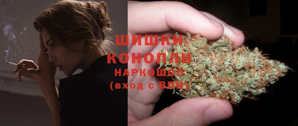 ГАЛЛЮЦИНОГЕННЫЕ ГРИБЫ Бронницы