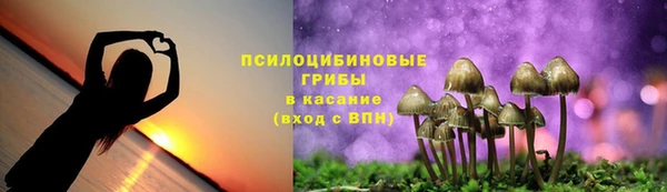 героин Бородино
