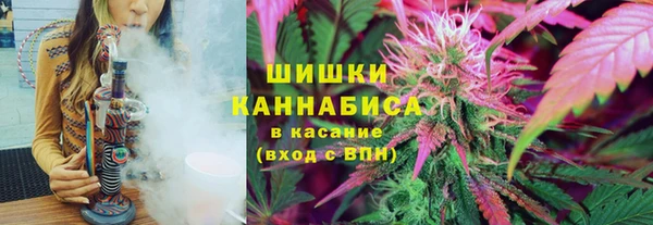ГАЛЛЮЦИНОГЕННЫЕ ГРИБЫ Бронницы