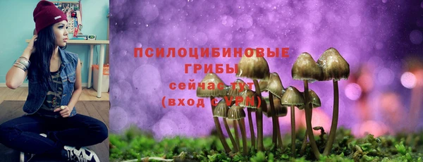 ГАЛЛЮЦИНОГЕННЫЕ ГРИБЫ Бронницы