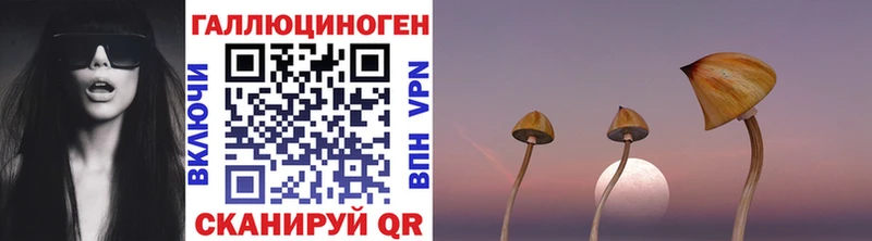 Псилоцибиновые грибы Psilocybe  Гуково 